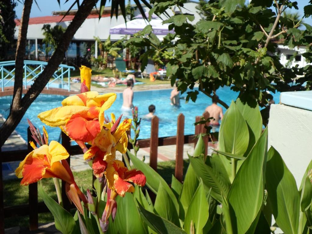הרסוניסוס Anatoli Apartments מראה חיצוני תמונה